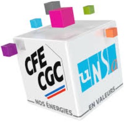 Logo Alliance CFE-UNSA